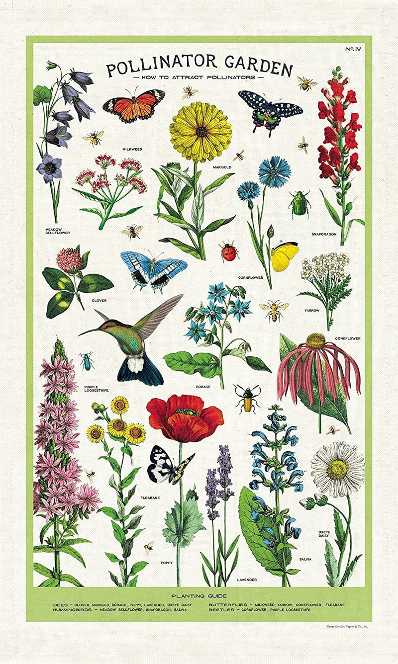 CAVANILLI & CO. Cavallini & Co., Garden Pollinator Vintage Kitchen/Tea Towel Multicolor - Image 1